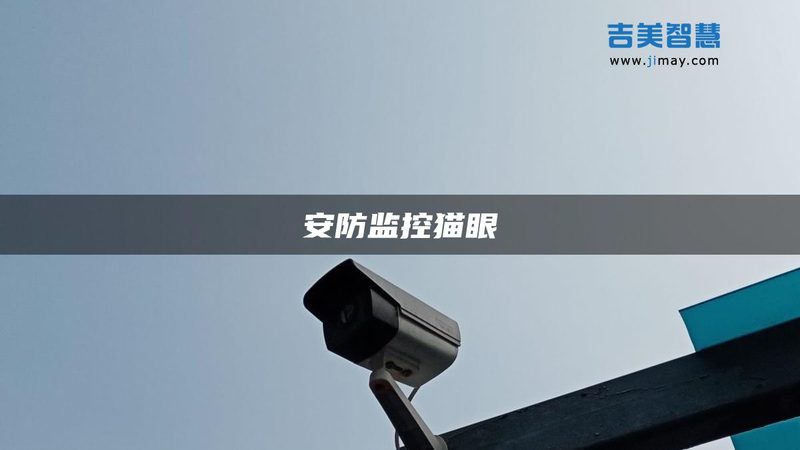 人脸识别门禁：成都十大品牌解析与选择要点**